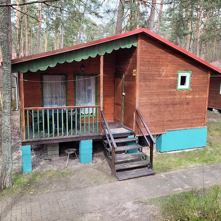 Ow Krakus I - I * Stegna (Pomerania)